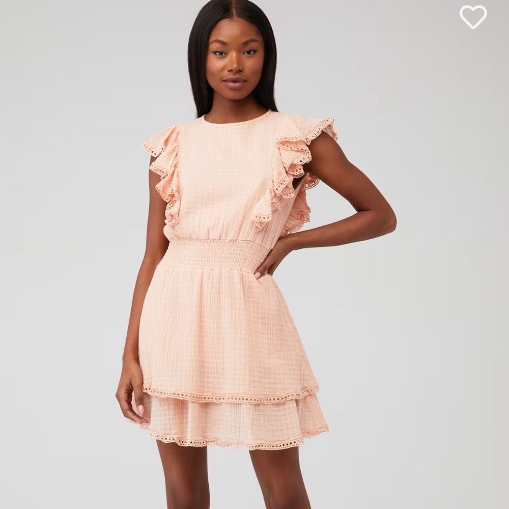 NWT Sage the Label Dress Blush Pink Preppy Ruffle Feminine A-Line Flutter Sleeve